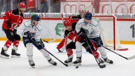 hokej suisse-france-091